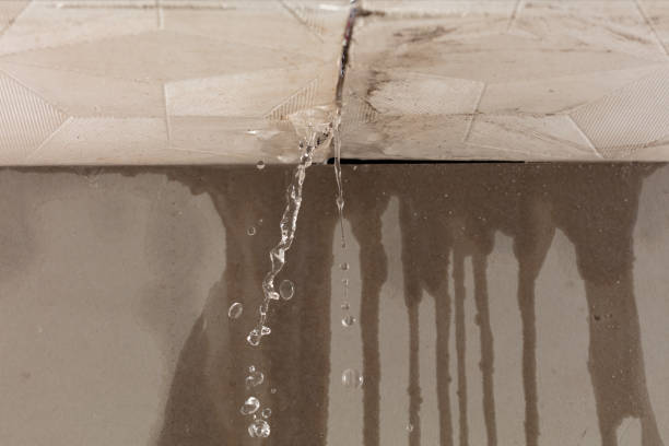Professional Water Damage Repair technician working in Belmar, NJ